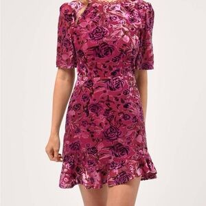 Gorgeous NWT Never Worn Adelyn Rae Purple Floral Velvet Burnout Dress